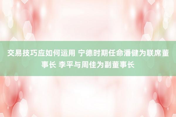 交易技巧应如何运用 宁德时期任命潘健为联席董事长 李平与周佳为副董事长