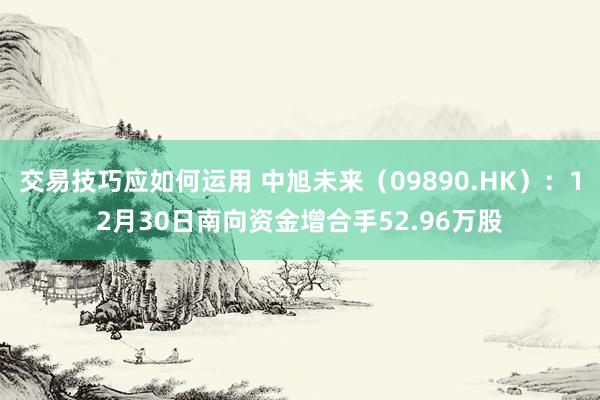 交易技巧应如何运用 中旭未来（09890.HK）：12月30日南向资金增合手52.96万股