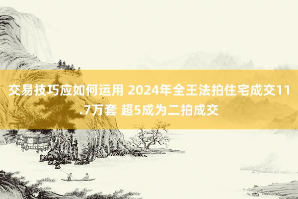 交易技巧应如何运用 2024年全王法拍住宅成交11.7万套 超5成为二拍成交