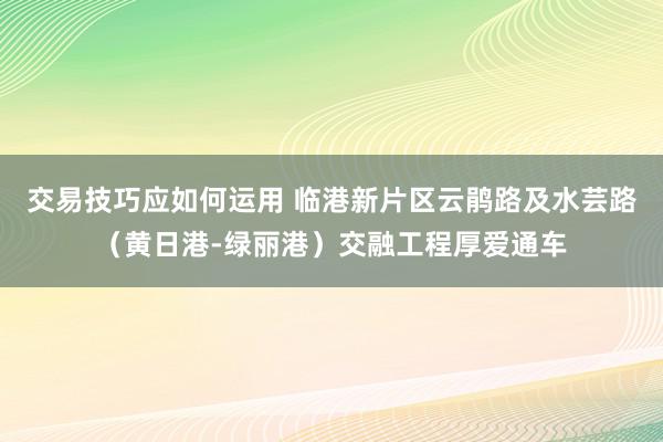 交易技巧应如何运用 临港新片区云鹃路及水芸路（黄日港-绿丽港）交融工程厚爱通车