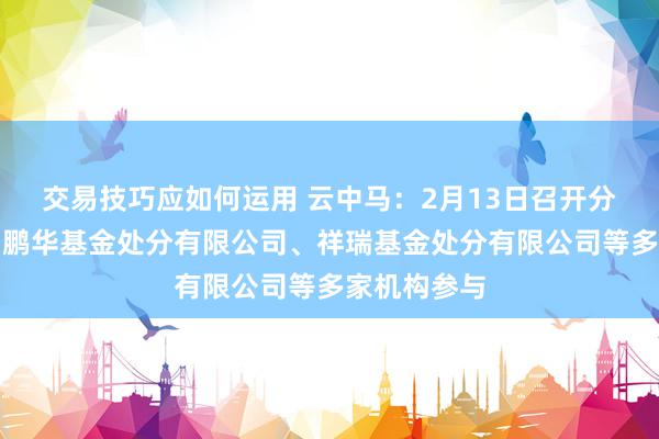 交易技巧应如何运用 云中马：2月13日召开分析师会议，鹏华基金处分有限公司、祥瑞基金处分有限公司等多家机构参与