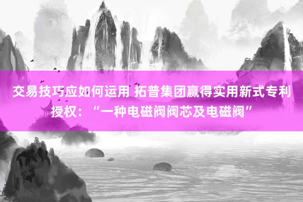 交易技巧应如何运用 拓普集团赢得实用新式专利授权：“一种电磁阀阀芯及电磁阀”