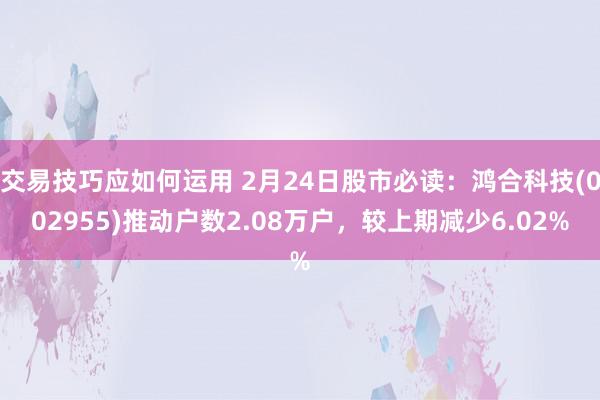 交易技巧应如何运用 2月24日股市必读：鸿合科技(002955)推动户数2.08万户，较上期减少6.02%