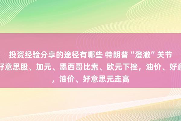 投资经验分享的途径有哪些 特朗普“澄澈”关节时间点，好意思股、加元、墨西哥比索、欧元下挫，油价、好意思元走高