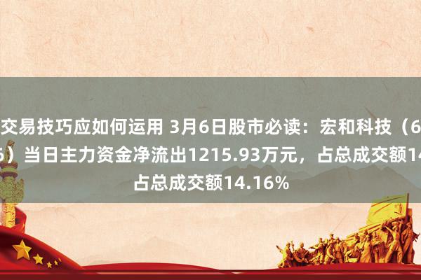 交易技巧应如何运用 3月6日股市必读：宏和科技（603256）当日主力资金净流出1215.93万元，占总成交额14.16%