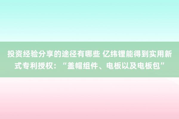 投资经验分享的途径有哪些 亿纬锂能得到实用新式专利授权：“盖帽组件、电板以及电板包”