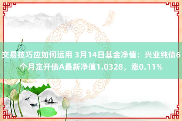 交易技巧应如何运用 3月14日基金净值：兴业纯债6个月定开债A最新净值1.0328，涨0.11%