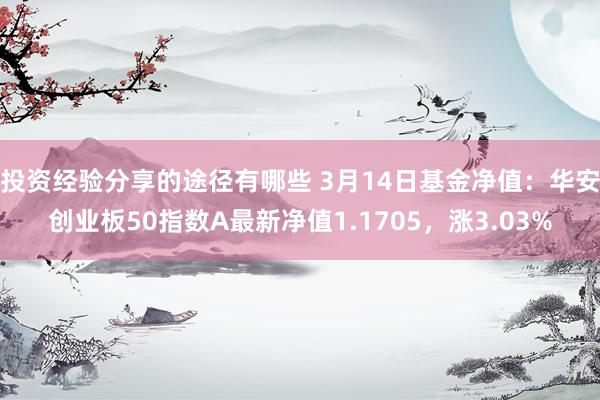 投资经验分享的途径有哪些 3月14日基金净值：华安创业板50指数A最新净值1.1705，涨3.03%