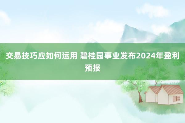 交易技巧应如何运用 碧桂园事业发布2024年盈利预报